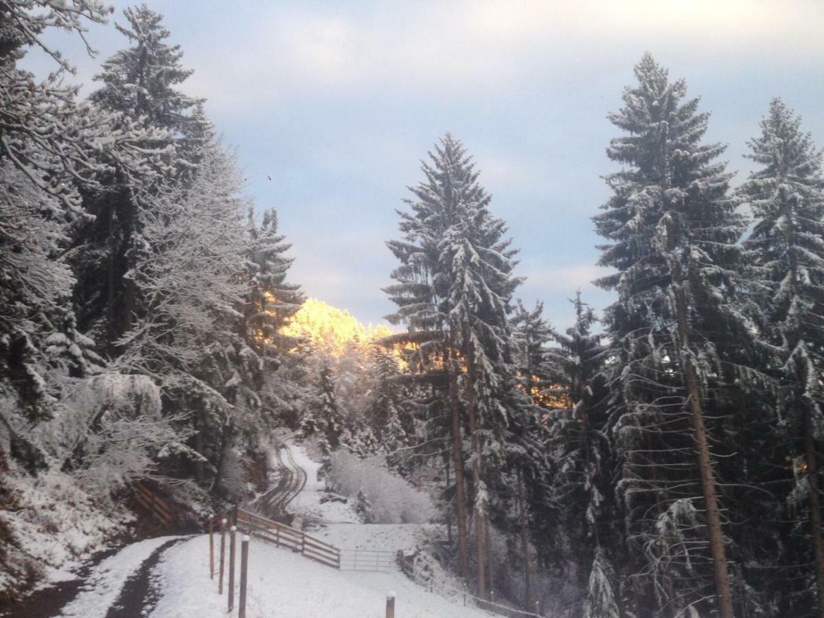 Reinwalds Almhuette Villa Millstatt Buitenkant foto