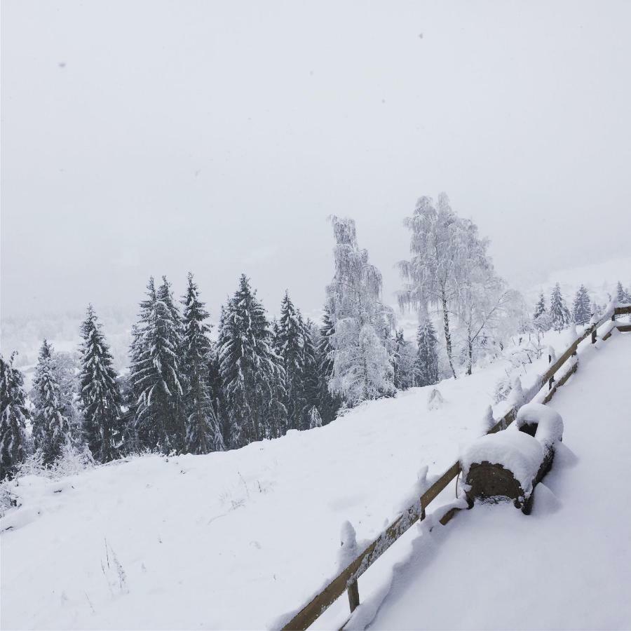 Reinwalds Almhuette Villa Millstatt Buitenkant foto